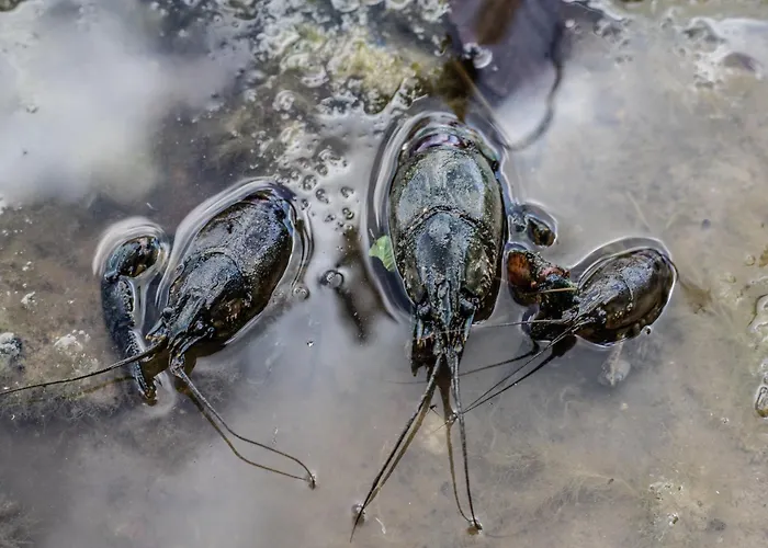 Na Dubie Holiday home